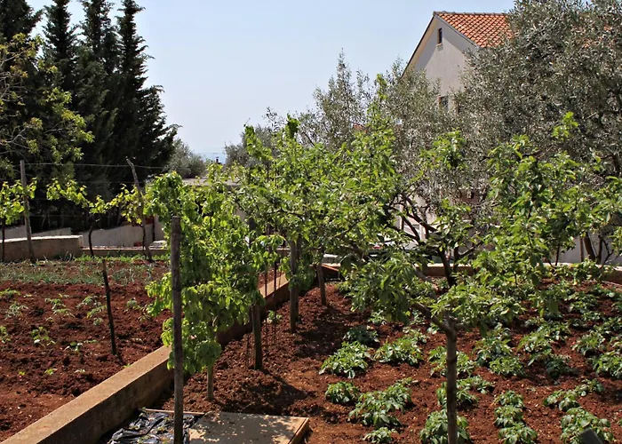 Krk 5294b 公寓 克尔克