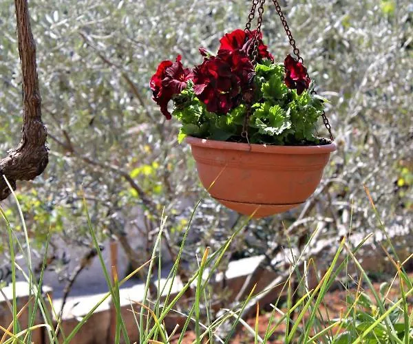 Krk 5294b アパート